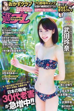 妻子8免费的电视剧完整版中文