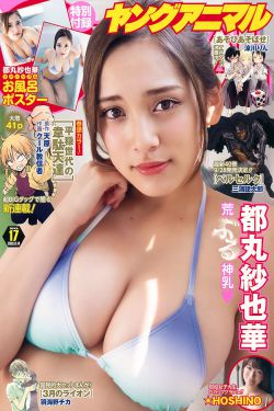 野花大全在线观看免费高清