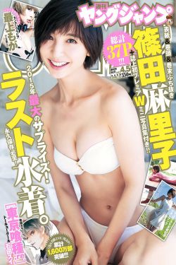 明月守护者