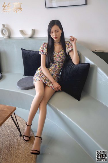 野良与皇女与流浪猫之心