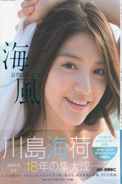 甄嬛传导演