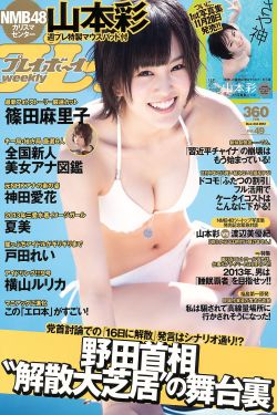 木匠奇事电视剧在线观看